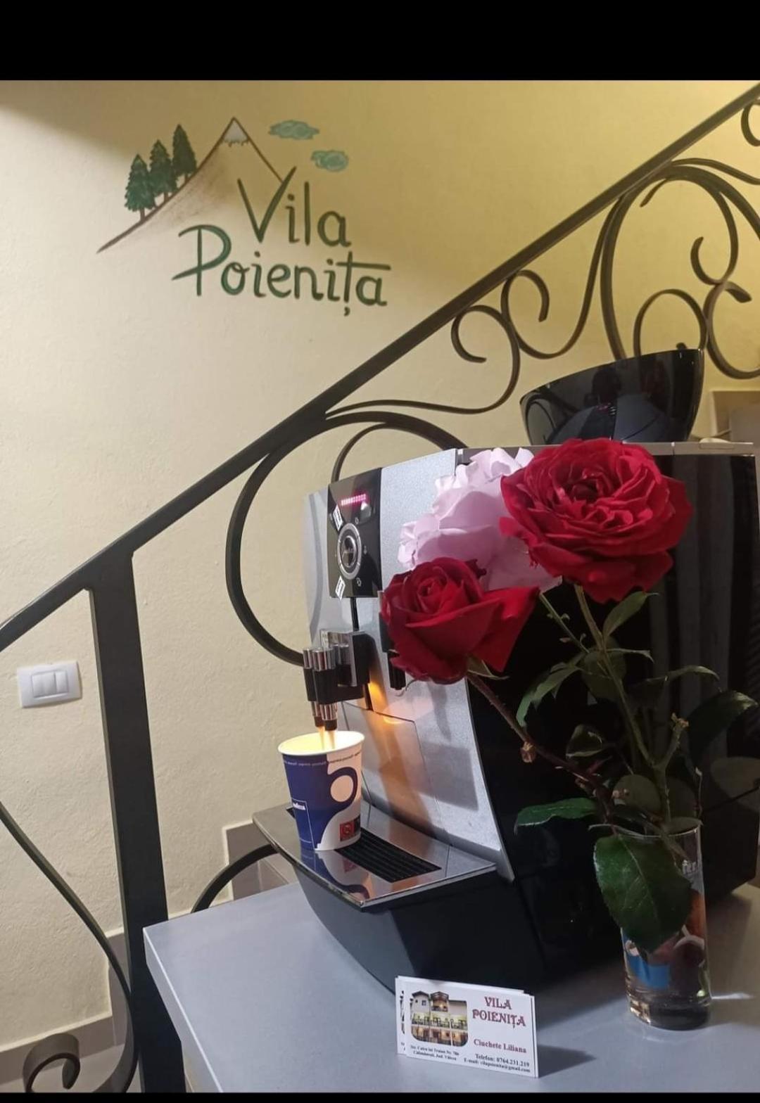 Vila Poienita Caciulata Călimăneşti المظهر الخارجي الصورة