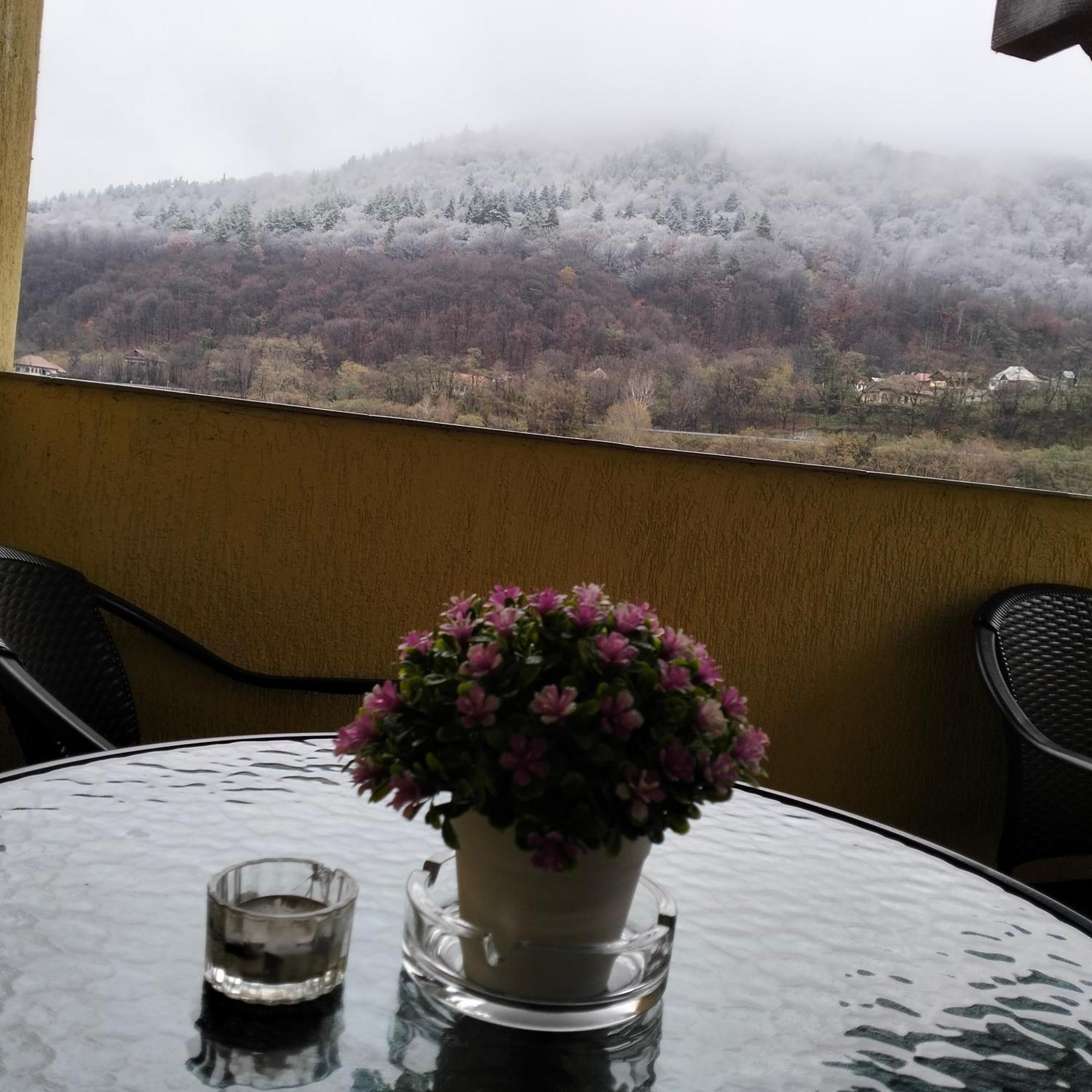 Vila Poienita Caciulata Călimăneşti المظهر الخارجي الصورة